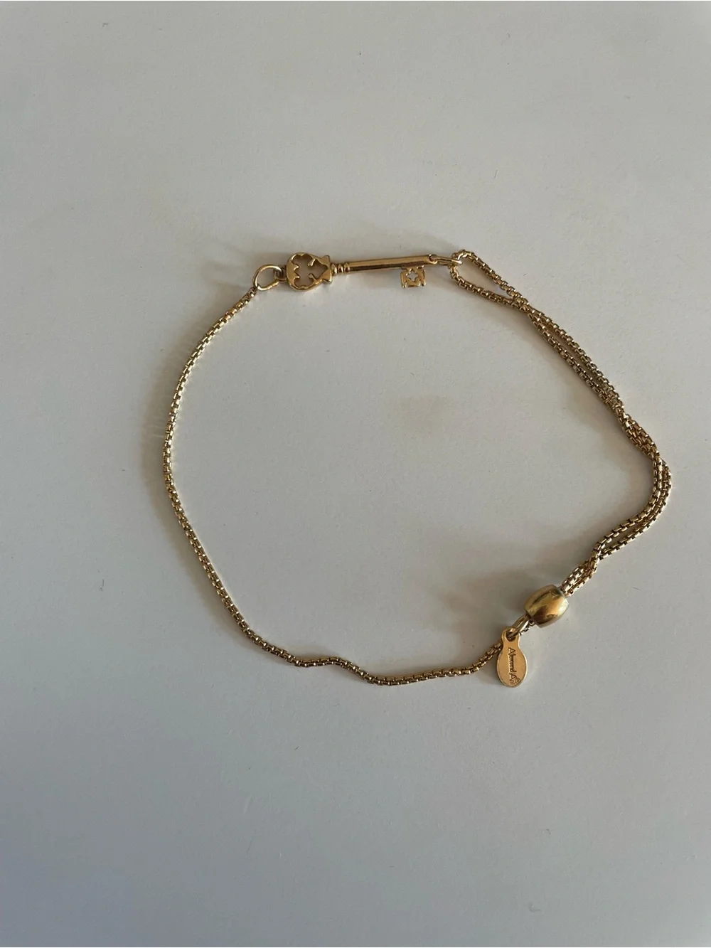 Alex and Ani Skeleton Key Pull Chain Bracelet